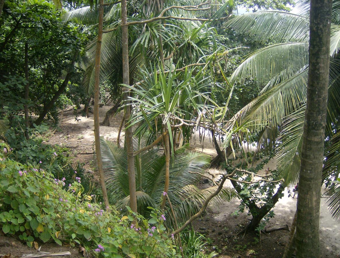 N'Guembu Nature Resort Porto Alegre 外观 照片