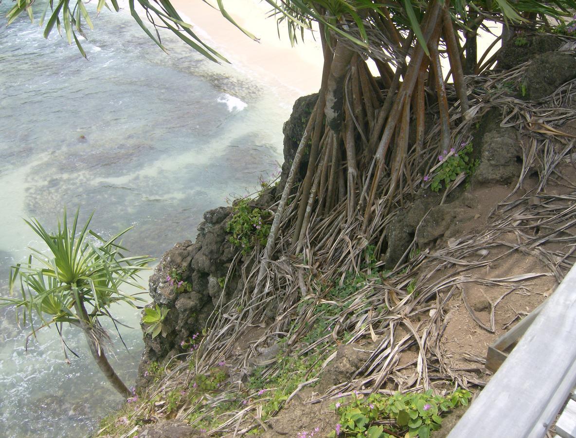 N'Guembu Nature Resort Porto Alegre 外观 照片