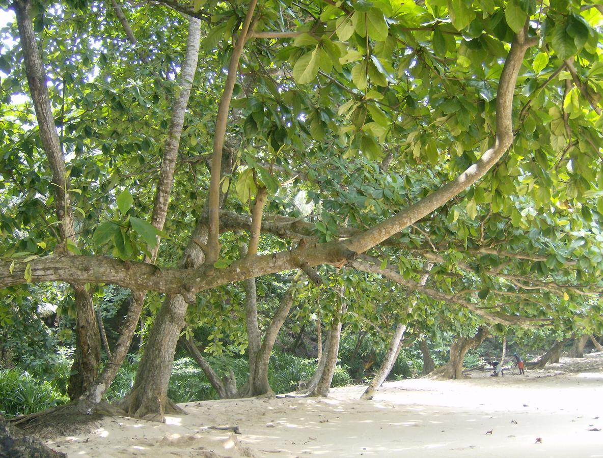 N'Guembu Nature Resort Porto Alegre 外观 照片